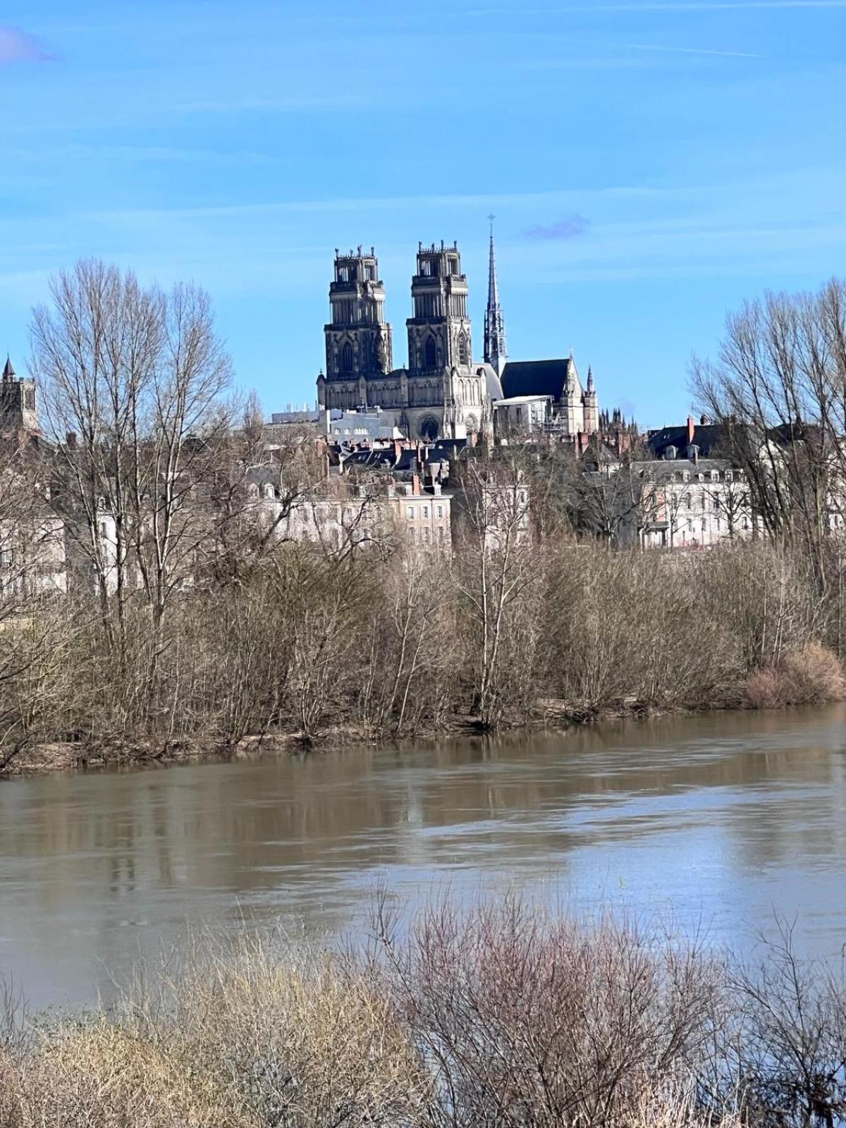 Appartement Au Duleing House Orléans Exteriör bild